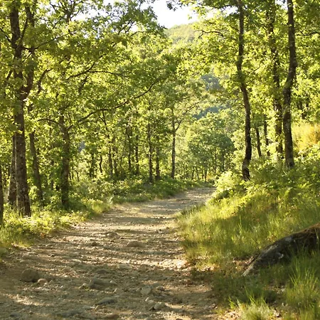 El Descanso De Sanabria *